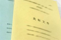 關(guān)于標(biāo)書翻譯的一些翻譯要素